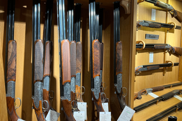 Guns For Sale